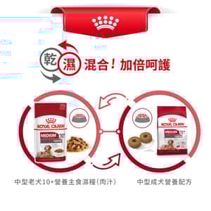 Royal Canin 狗糧 法國皇家狗糧 健康營養系列 中型老犬10+營養配方 中型老犬糧 10+ 3kg (圖片7)