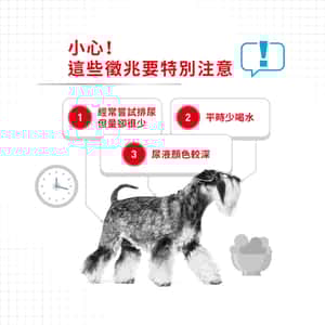 Royal Canin 狗糧 法國皇家狗糧 加護系列 小型犬泌尿道加護配方 小型犬泌尿道照護配方 UCMI 3kg (2732600) (圖片4)