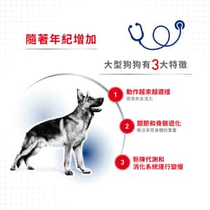 Royal Canin 法國皇家 狗濕糧 大型老犬8+營養主食濕糧 (肉汁) 140g (3173400) (圖片4)