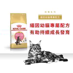 Royal Canin Dry Cat Food - Maine Coon Kitten KMCO 10kg (2521100) (圖片3)
