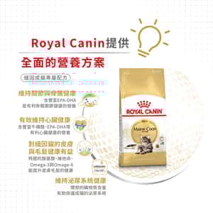 Royal Canin 法國皇家 純種系列 緬因成貓配方 MCO 2kg (2550020010) (圖片5)