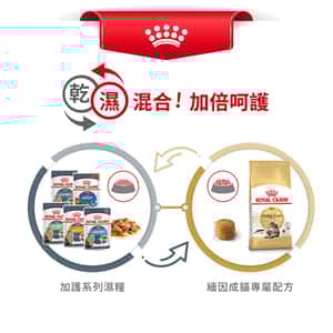 Royal Canin 貓糧 法國皇家貓糧 純種系列 緬因成貓專屬配方 10kg (2550100010) (圖片6)