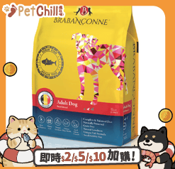 Brabanconne-爸媽寵/Brabanconne/11059