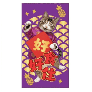 其他 WELLNESS Core 紅包 (菠蘿仔) (WNCNY04) (非賣品) (贈品)