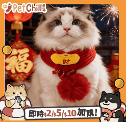 其他 貓玩具 寵物圍巾 新年毛線醒獅發財配飾貓咪圍巾 款式隨機 1套