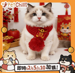 寵物圍巾 新年毛線醒獅發財配飾貓咪圍巾 款式隨機 1套 (圖片3)