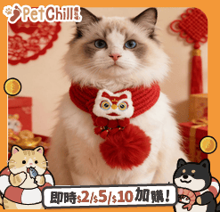 寵物圍巾 新年毛線醒獅發財配飾貓咪圍巾 款式隨機 1套 (圖片4)