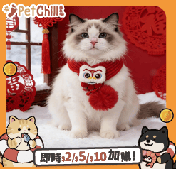 寵物圍巾 新年毛線醒獅發財配飾貓咪圍巾 款式隨機 1套 (圖片5)