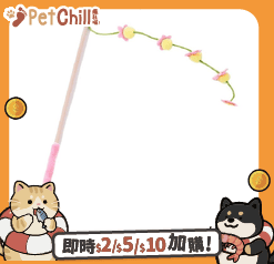 HelloDOG 玩具嚴選 貓玩具 碩果累累逗貓棒 一支 (顏色隨機) (圖片3)