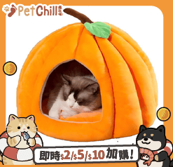 寵物用品 沒有品牌 封閉式貓窩 豪華南瓜窩 M 一個