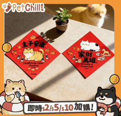 寵物用品 沒有品牌 寵物吉祥揮春 貓貓款 款式隨機 (非賣品)