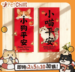 寵物吉祥揮春 貓貓款 款式隨機 (非賣品) (圖片5)