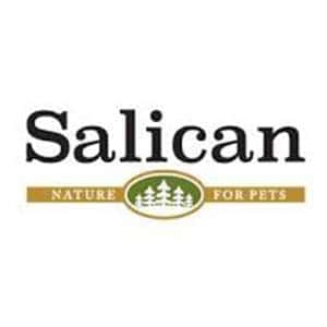 Salican