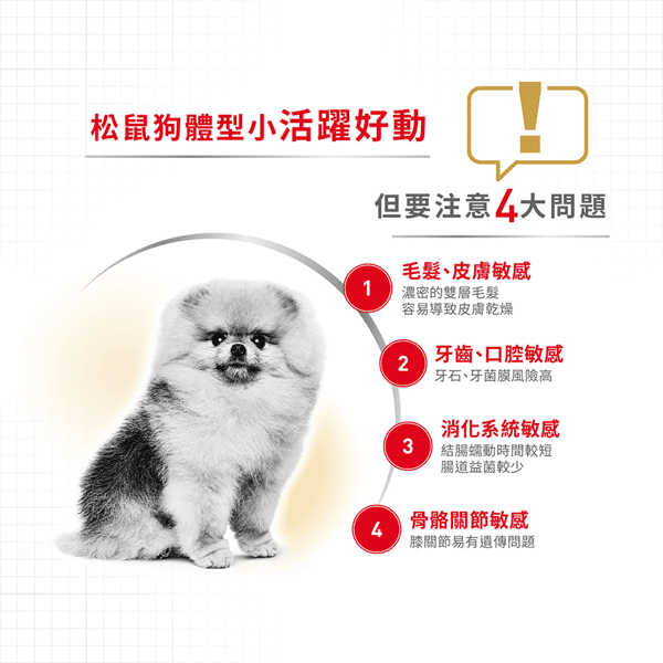 Royal Canin 法國皇家 狗濕糧 松鼠狗成犬專屬主食濕糧 (肉塊) 85g (圖片5)