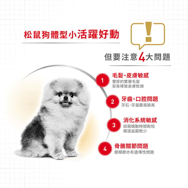 Royal Canin Royal Canin 狗糧 法國皇家狗糧 松鼠犬 純種犬配方 3kg 3kg  背面圖