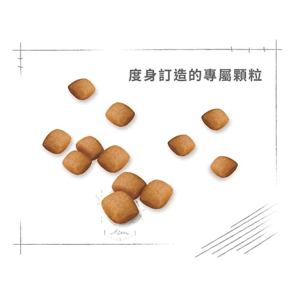 Royal Canin Royal Canin 狗糧 法國皇家狗糧 松鼠犬 純種犬配方 3kg 3kg  特寫圖