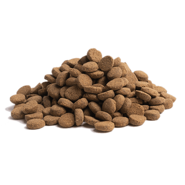 Essential Foods 易膳 狗糧 長青 Older 10kg (大粒) (O-10) (新包裝) (英國版) (圖片5)