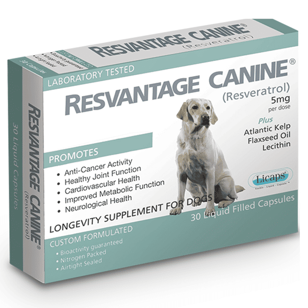 Resvantage 白藜蘆醇犬用保健品 30粒 (PP6611) (圖片1)