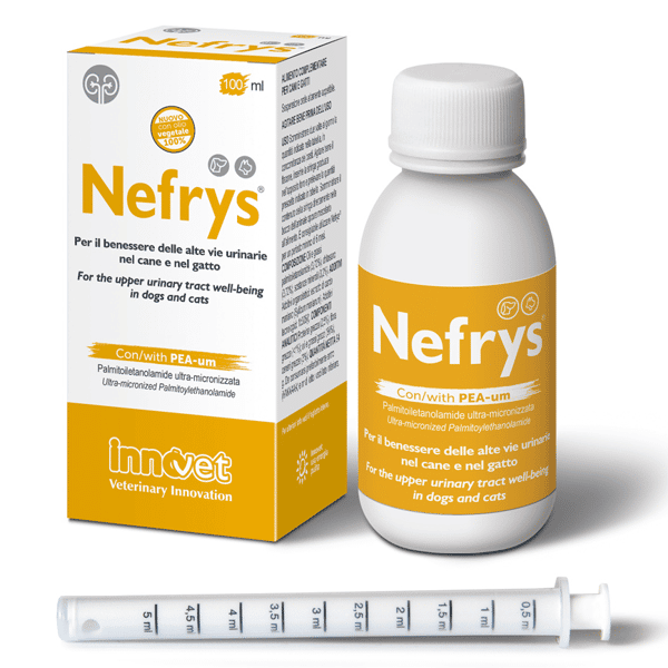 INNOVET Nefrys 強腎配方 100ml (圖片1)