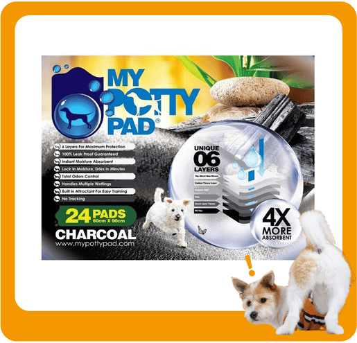My My Potty Pad 活性炭殿堂吸 寵物尿墊 狗尿墊 狗尿片 MPPC024 [60x90 L碼 24PADS]   正面圖