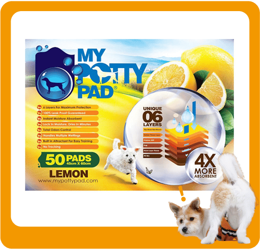 My Potty Pad 殿堂吸 寵物尿墊 狗尿墊 狗尿片 檸檬味 MPPL050 [45x60 M碼 50PADS] (圖片1)