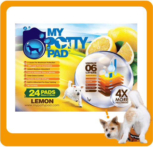 My My Potty Pad 殿堂吸 寵物尿墊 狗尿墊 狗尿片 檸檬味 MPPL024 [60x90 L碼 24PADS]   正面圖