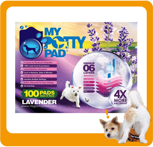 My My Potty Pad 殿堂吸 寵物尿墊 狗尿墊 狗尿片 薰衣草味 MPPV100 [33x45 S碼 100PADS]   正面圖
