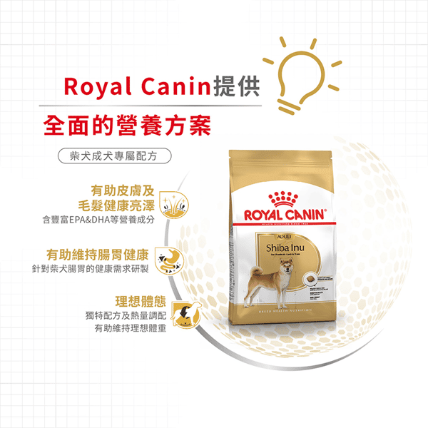 Royal Canin 狗糧 法國皇家狗糧 純種系列 柴犬成犬專屬配方 柴犬 純種犬配方 4kg (2584100) (圖片5)