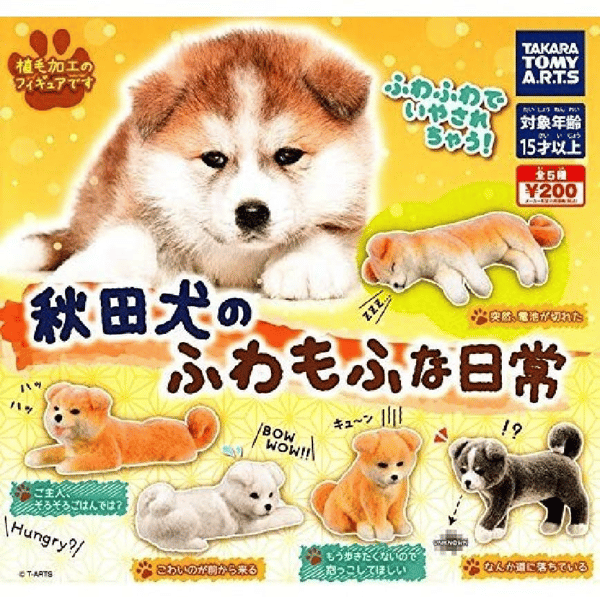 日本直送 狗公仔擺設 秋田犬的蓬鬆日常 一套五隻 - 清貨優惠 (圖片1)