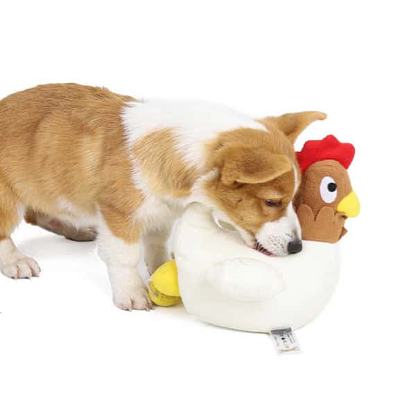 DogLemi DogLemi 狗狗磨牙訓練玩具 生蛋母雞 一個   正面圖