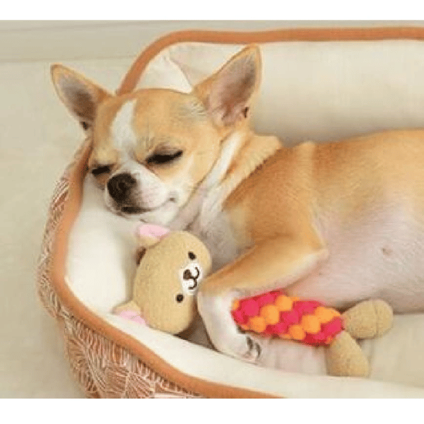 日本Bonbi 日本Bonbi ILOVEPETS Dental Animal 嚴選狗狗護齒玩具 熊熊   側面圖