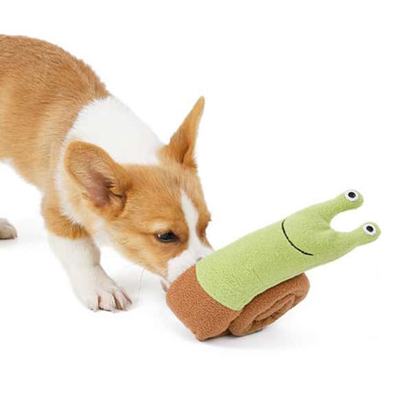 DogLemi DogLemi 狗狗磨牙訓練玩具 綠頭蝸牛 一個   正面圖