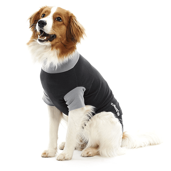 Buster 康復用具 XL (273974) (圖片1)