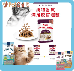 Royal Canin 法國皇家 貓濕糧 貓感系列 肉香營養主食濕糧 (肉汁) SMELL 85g (3033600) (圖片4)