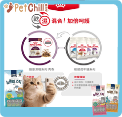Royal Canin 法國皇家 貓濕糧 貓感系列 肉香營養主食濕糧 (肉汁) SMELL 85g (3033600) (圖片8)