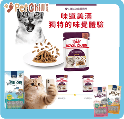 Royal Canin 法國皇家 貓濕糧 貓感系列 鮮味營養主食濕糧 (肉汁) TASTE 85g (3034100) (圖片4)