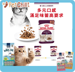 Royal Canin Royal Canin 法國皇家 貓濕糧 貓感系列 口感營養主食濕糧  FEEL 85g 85g  正面圖