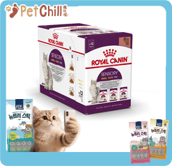 Royal Canin 法國皇家 貓濕糧 貓感系列 主食濕糧 (肉汁) SENSORY 混合裝(肉香鮮味各四包) 85g x 12 (3168300) (圖片1)