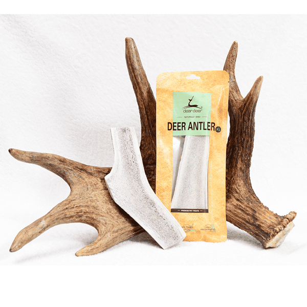 dear dear deer 狗零食 耐咬潔齒系列 鹿角 加大號 背面圖