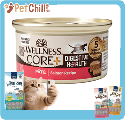 WELLNESS WELLNESS CORE 貓罐頭 消化易 三文魚配方 3oz 3oz 正面圖
