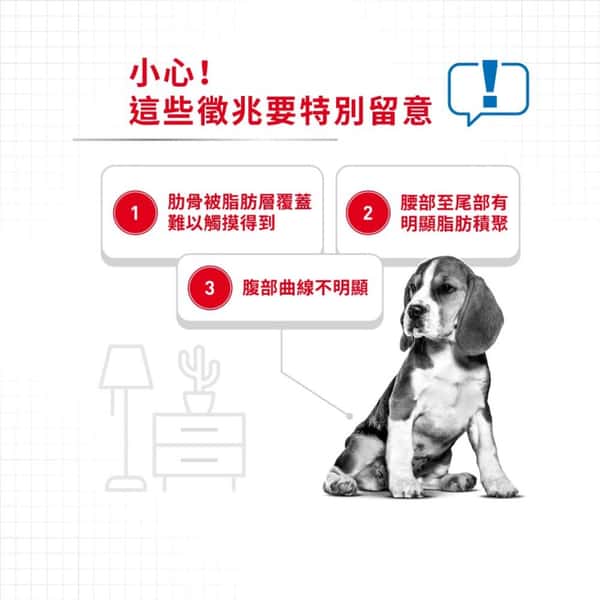 Royal Canin Royal Canin 狗糧 法國皇家狗糧 加護系列 中型犬體重控制加護配方 中型犬 體重控制加護配方 12kg 12kg 背面圖
