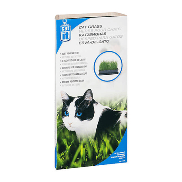 Hagen希勤 貓玩具 Catit系列 營養自種草 (C128) (圖片1)