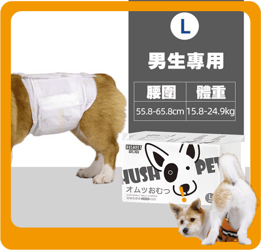 HUSHPET 男生狗狗專用 寵物尿墊狗尿墊狗尿片 紙尿褲紙尿片 黑 [腰圍56-66 L碼 12枚] (圖片1)