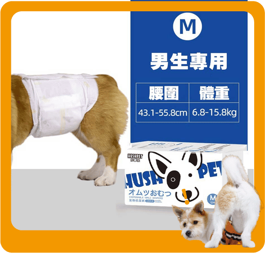 HUSHPET 男生狗狗專用 寵物尿墊狗尿墊狗尿片 紙尿褲紙尿片 藍 [腰圍43-56 M碼 12枚] (圖片1)