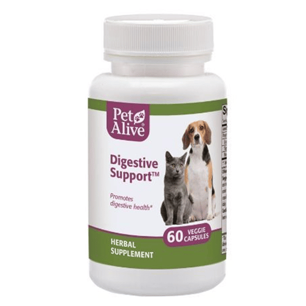 PetAlive Digestive Support™ 維持消化系統正常 60粒 (PDIG001) (圖片1)