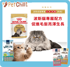 Royal Canin Royal Canin 法國皇家 貓濕糧 波斯成貓專屬主食濕糧  85g 85g  正面圖