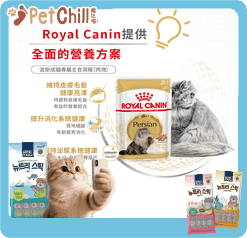 Royal Canin Royal Canin 法國皇家 貓濕糧 波斯成貓專屬主食濕糧  85g 85g  側面圖