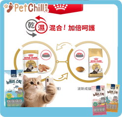 Royal Canin Royal Canin 法國皇家 貓濕糧 波斯成貓專屬主食濕糧  85g 85g  包裝圖