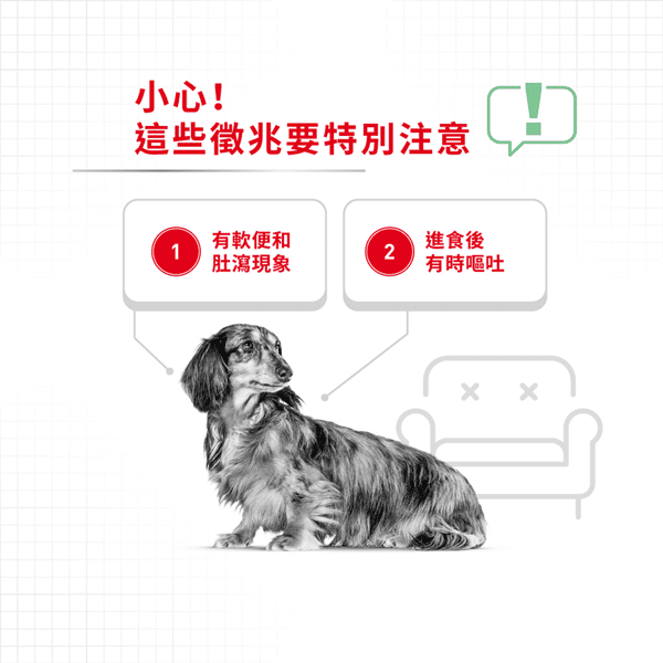 Royal Canin Royal Canin 狗糧 法國皇家狗糧 小型犬消化道腸胃加護配方 DGMI 8kg 8kg 背面圖