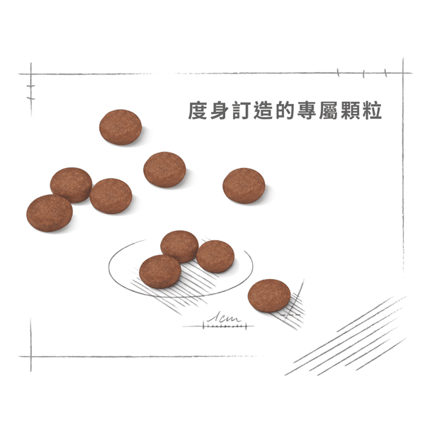 Royal Canin Royal Canin 狗糧 法國皇家狗糧 小型犬消化道腸胃加護配方 DGMI 8kg 8kg 特寫圖